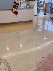 -杭州贝瑞斯美华妇儿医院·早孕·产检·儿科