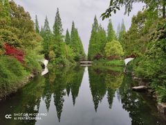 -东平国家森林公园
