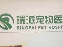 -瑞派天宁宠物医院·猫科·异宠中心