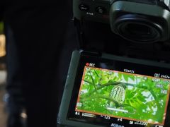 -烈士陵园(地铁站)