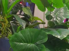 -Pennehut畔尼意面(合肥万象城店)