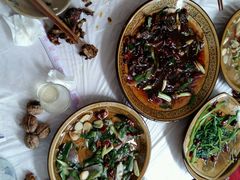 android_upload_pic-燕兵眉州肥肠鱼饭店