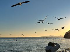 -星海湾跨海大桥