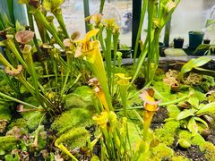 -国家植物园南园