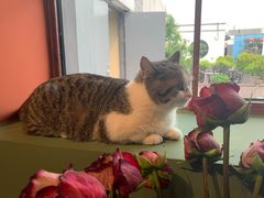 -IFIF 如果花園(宽厚里店)