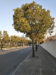 -上海浦滨儿童医院