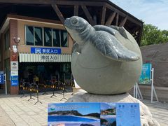 -广东惠东海龟国家级自然保护区