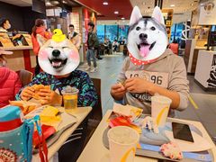 -麦当劳(北京南站店)