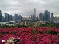 -连城·新天地(福华一路店)