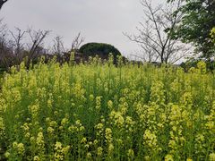 -南溪山景区