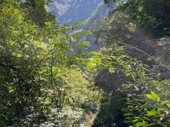 -三峡人家风景区