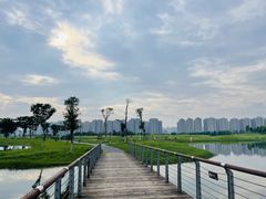 -洋湖国家湿地公园