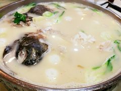 -丁老爷子苏香圆