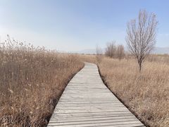 -野鸭湖国家湿地公园