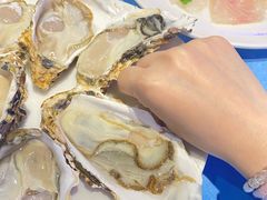 -千岛蚝高压锅生蚝·人参火锅(白云万达店)