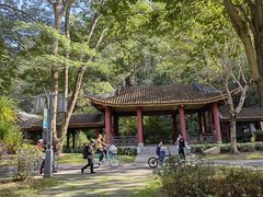 -顺峰山公园