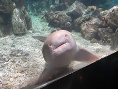 -杭州海底世界