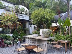 -自由生长植物工作室(深港花卉中心店)