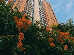 -北部湾广场