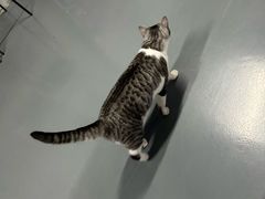 -蓝天射箭馆·专业射箭运动(诚丰广场店)