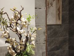 -华夏良子·足道·SPA·艾灸(苏州桥店)