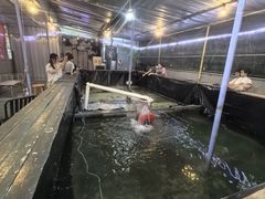 -小象钓虾·营地烧烤(洛溪店)