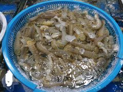 -王四营海鲜市场
