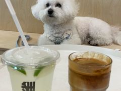 -麻雀咖啡SPARROW COFFEE(十全街店)