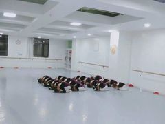 -西安小天鹅艺术团(金花路校区)