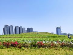 -光明小镇欢乐田园