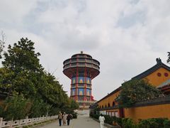 -高旻寺