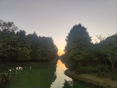 -贡湖湾湿地公园