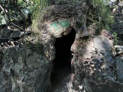 -秋霞圃