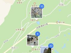 -铁山坪森林公园
