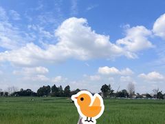 -三圣花乡旅游区