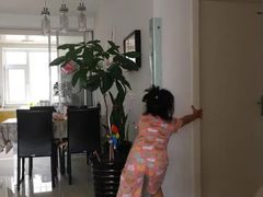 -悦动体能篮球羽毛球网球(三里河店)