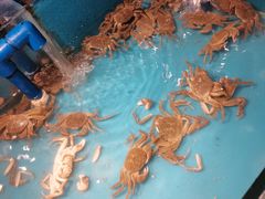 -星伦多 自助料理(圆融店)