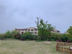 -上海崇明金茂凯悦酒店