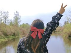 -桤木河湿地公园