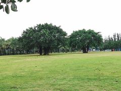 -白沙门生态公园