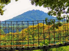 -杭州少年儿童公园