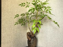 -程十发艺术馆