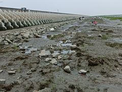 -南汇新城海滩