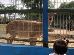 -武汉紫薇都市田园