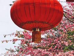 -风云岭森林公园