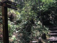 -武夷山风景名胜区-虎啸岩