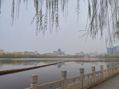 -莲花池公园