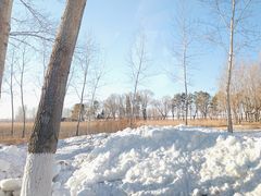 -黑龙江扎龙生态旅游区