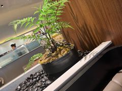 -千日贺茶餐厅(高新万达店)