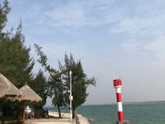 -北海金海湾红树林生态旅游区